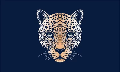 Foto op Plexiglas jaguar gezicht op donkere achtergrond © Janja