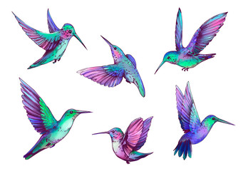 Set of hummingbirds illustration. Isolated on white background © aksol