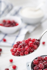 Fresh ripe cranberries with sugar in a spoon. Organic food containing vitamin C. Selective focus.