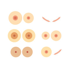 female breast flat icon, vector illustration