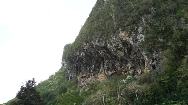 climber in Palenque (wider shot)