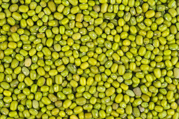 Mung beans : food background.close up