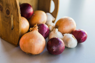 onion family red onion garlic close up