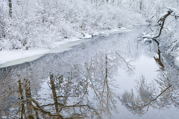 Winter landscape of snow flocked trees, creek, and reflections in calm water, Michigan, USA