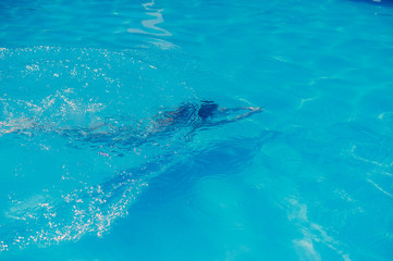 Young slim woman in a black bikini swimsuit swims underwater in the pool