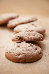 the Very tasty chocolate cookie