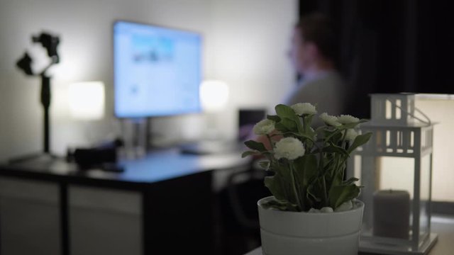 A room inside a home, a close view of a flower pot, a young man sits by his computer and works in the background.