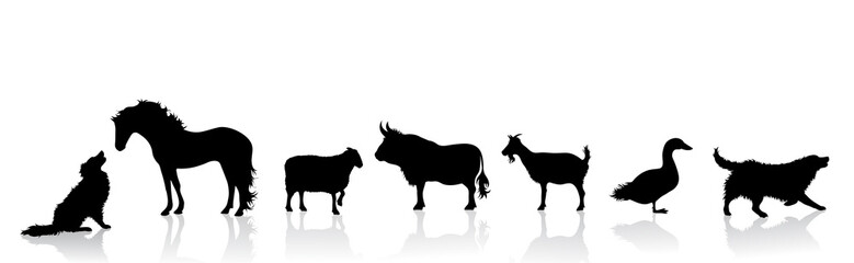 Vector silhouette of collection of farm animals on white background. Symbol of nature.