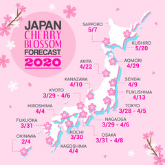 Japan cherry blossom forecast 2020 vector illustration. Japan map on pink Sakura background.