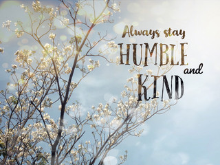 Always stay humble and kind word and white blossom flower tree bokeh background - 323927505