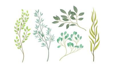 Tree Twigs and Branches with Green Leaves Vector Set