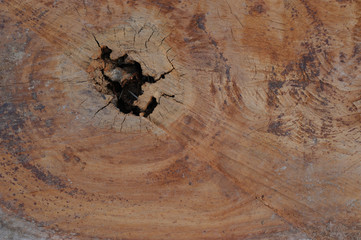 Fototapeta na wymiar Old natural wooden shabby background close up