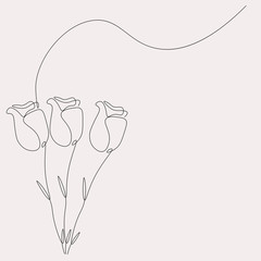 Roses flowers background line drawing vector illustration
