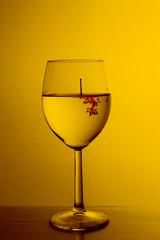 ink in a glass of water