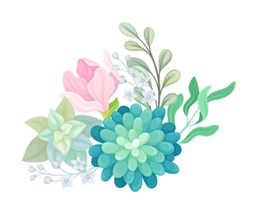 Floral Composition of Tender Colorful Succulent Plant Arranged with Botanical Twigs Vector Illustration