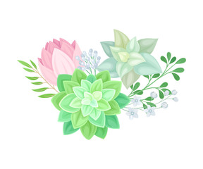 Floral Composition of Tender Colorful Succulent Plant Arranged with Botanical Twigs Vector Illustration