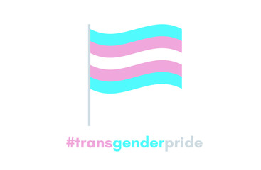 Transgender pride flag in vector illustration.