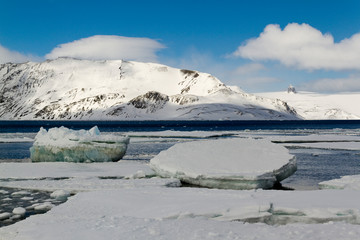 Fototapeta na wymiar Antartida