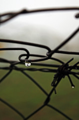 Iron fence with drops, in wet day