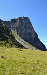 Fototapeta premium Gipfel des Gerlos in den Alpen