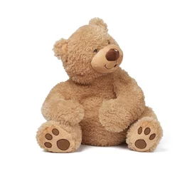 Fotobehang big curly brown teddy bear sits on a white isolated background © nndanko