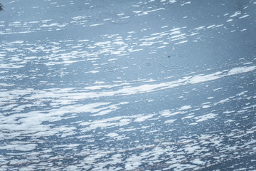White lemna with foam in puddle after heavy rain.