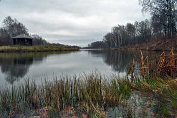 landscape with lake and forest
