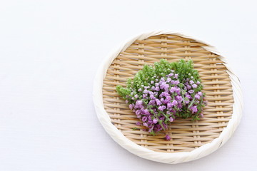 花穂紫蘇