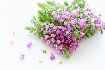 白いお皿の上の花穂紫蘇