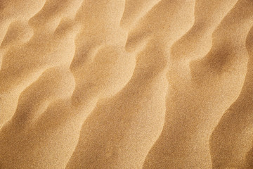 Fototapeta na wymiar Wavy pattern on the sand surface formed by the wind. Texture background