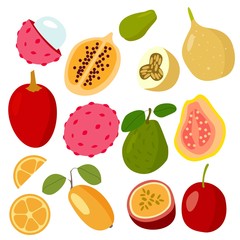 Set of fruits on a white background, different tropical fruits and berries. Exotic fruit set. Vector. EPS 10