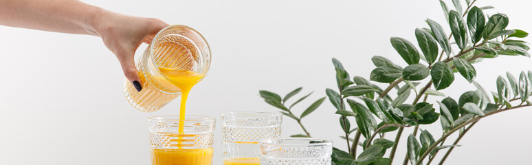 cropped view of woman pouring delicious yellow smoothie in glass near green plant isolated on white, panoramic shot
