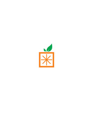 Logo Orange fruit with square shape