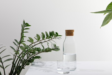 glass and bottle of fresh water near green plants on white surface isolated on grey