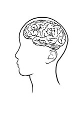 Human brain drawing
