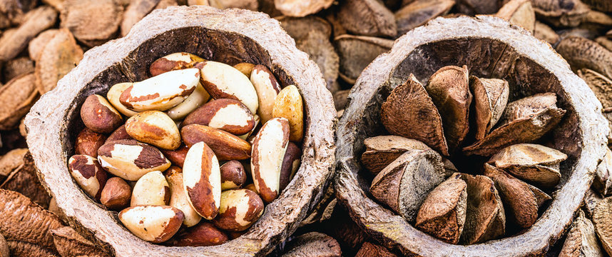 Brazil nuts inside the coconut. In portuguese castanha do pará, closed and open, on the market for sale. Background image, thematic Brazilian cuisine.