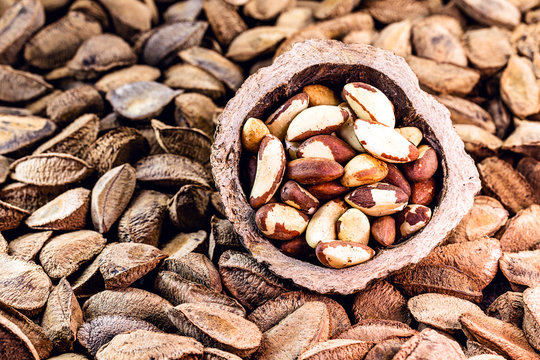 Brazil nuts inside the coconut. In portuguese castanha do pará, closed and open, on the market for sale. Background image, thematic Brazilian cuisine.