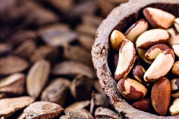 Foods with healthy unsaturated fat. Brazilian Nuts, popularly known in Portuguese as Brazil nuts, Amazon nuts, Bolivian nuts, Toquei or Tururi, is a treat abundant in northern Brazil and Bolivia.