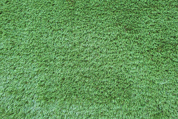 Surface of a grass field