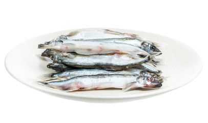 Frozen and freshly caught capelin closeup