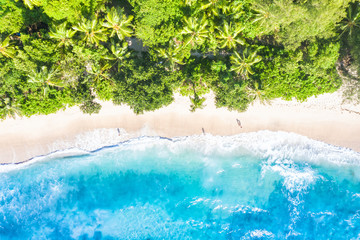 Seychelles beach Mahé Mahe island nature vacation paradise ocean drone view aerial photo
