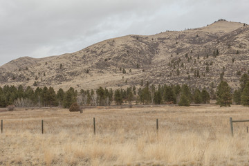 Fototapeta na wymiar Tall grass covered mountain with sparse trees behind an empty pasture with vintage cattle fencing