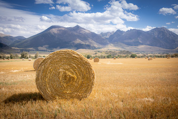Hay bale on a field in Wyoming with mountains in the background
