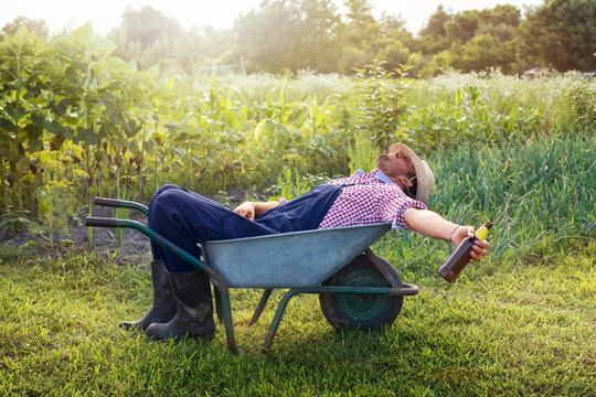 Young male farmer is relaxing in wheelbarrow on the green garden