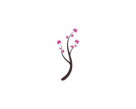 Cherry Blossom Logo Vector Illustration