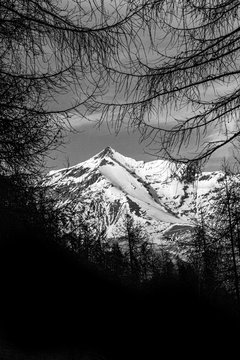 Rocciamelone, monte sacro celta dietro gli alberi del bosco