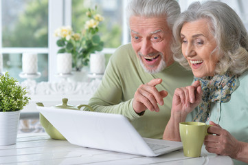 Close up portrait of happy senior couple with laptop