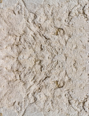 Scenic weathered stone surface