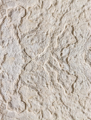 Scenic weathered stone surface