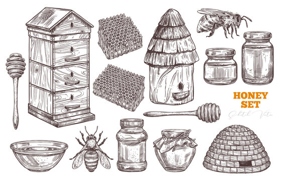 Hand drawn vector honey set. Collection of sketch illustrations for beekeeping, apiculture and mead company and business: bees, wooden and straw hives, honey spoon, honeycomb, jars and pot